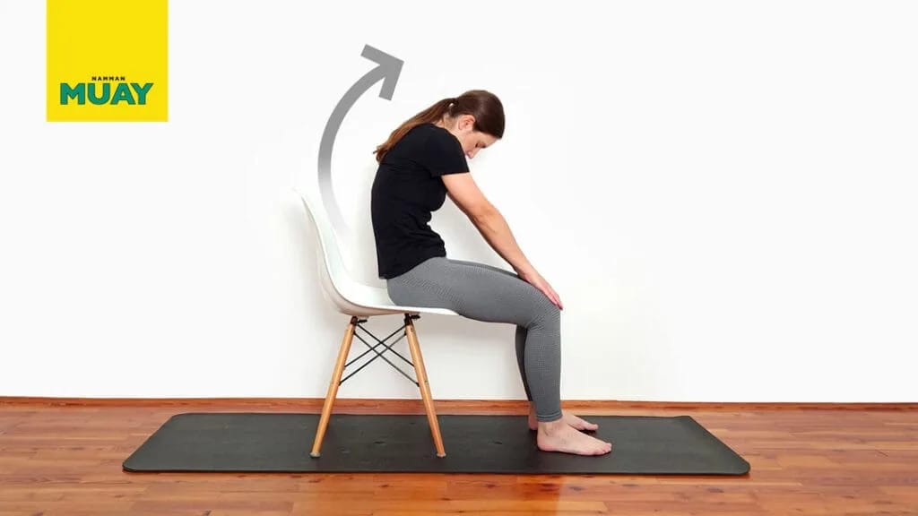 Sjedeća mačka/krava